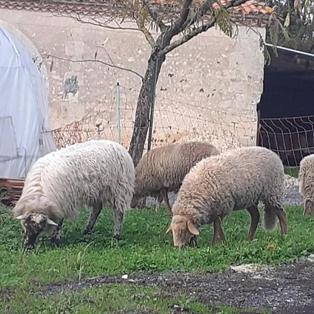 Maison De Campagne A La Ferme Pillac Екстериор снимка