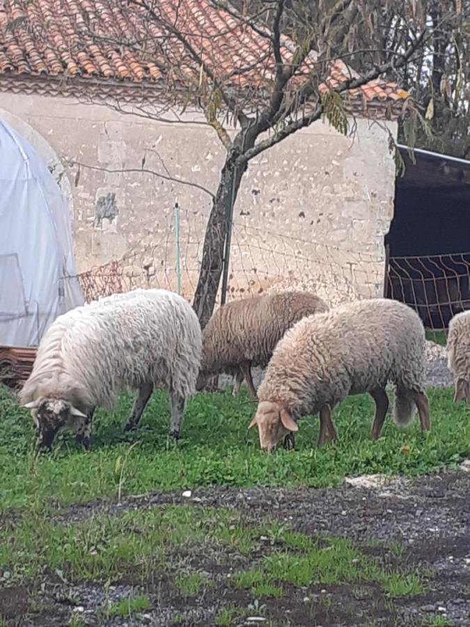 Maison De Campagne A La Ferme Pillac Екстериор снимка